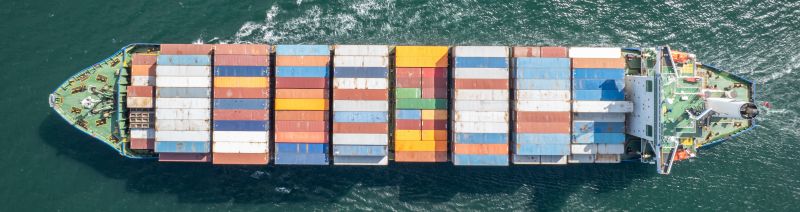 ¿Qué hacer si suspenden tu padrón de importadores? Guía Paso a paso para reactivarlo