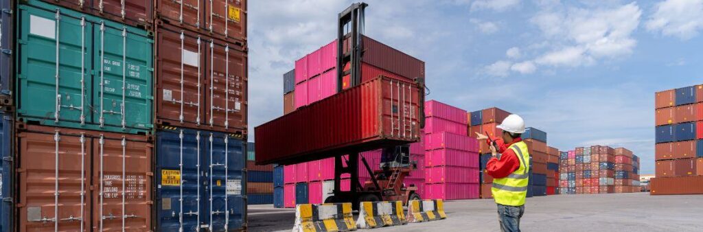 actualizacion del padron de importadores mexico